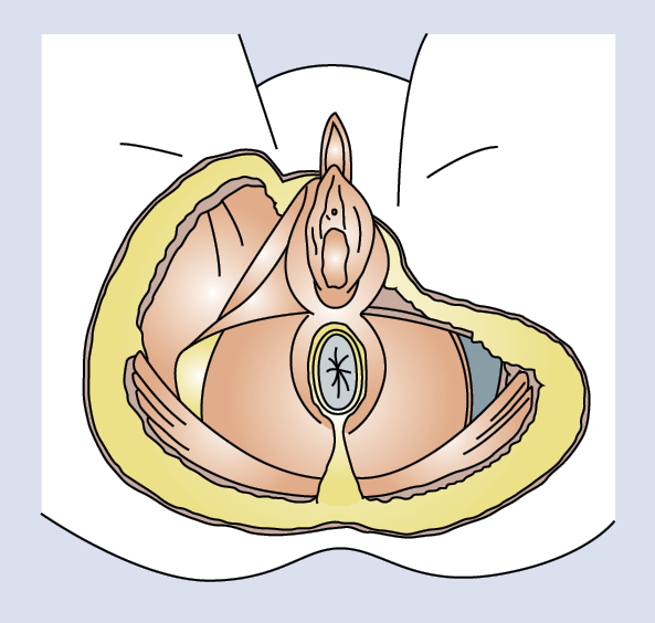 curso474fig1