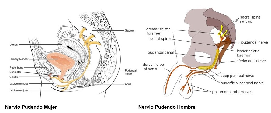 Niño que moja la cama porque tiene enuresis